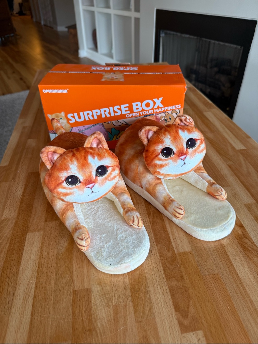Plush Orange Cat Slip-On Slippers